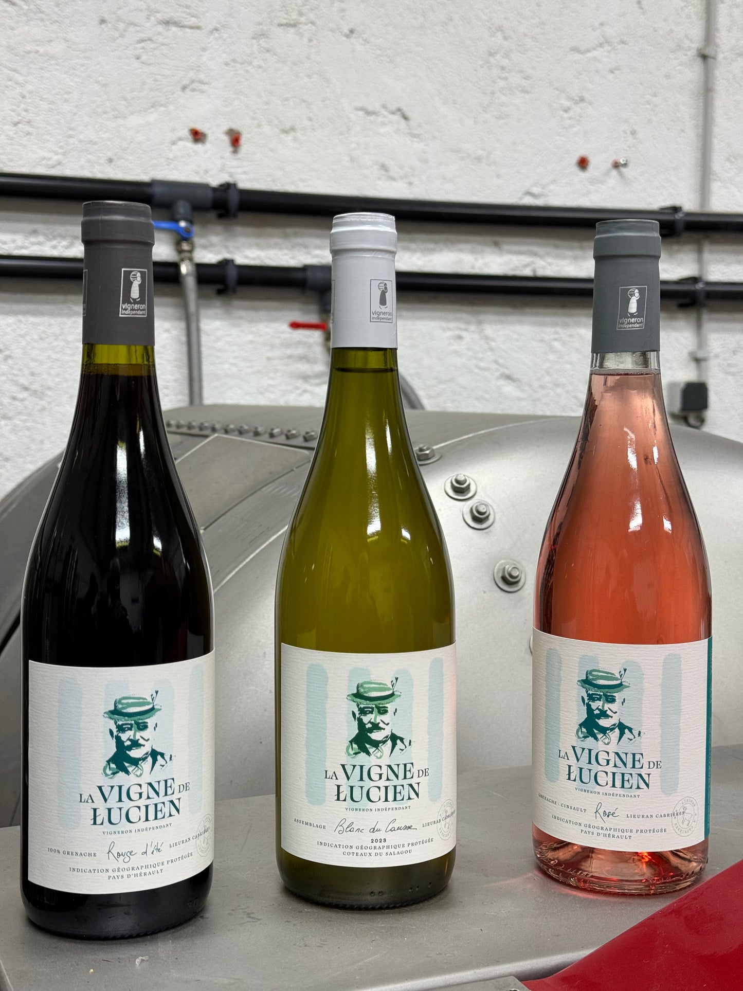 Mixte Rosé-Blanc-Rouge été