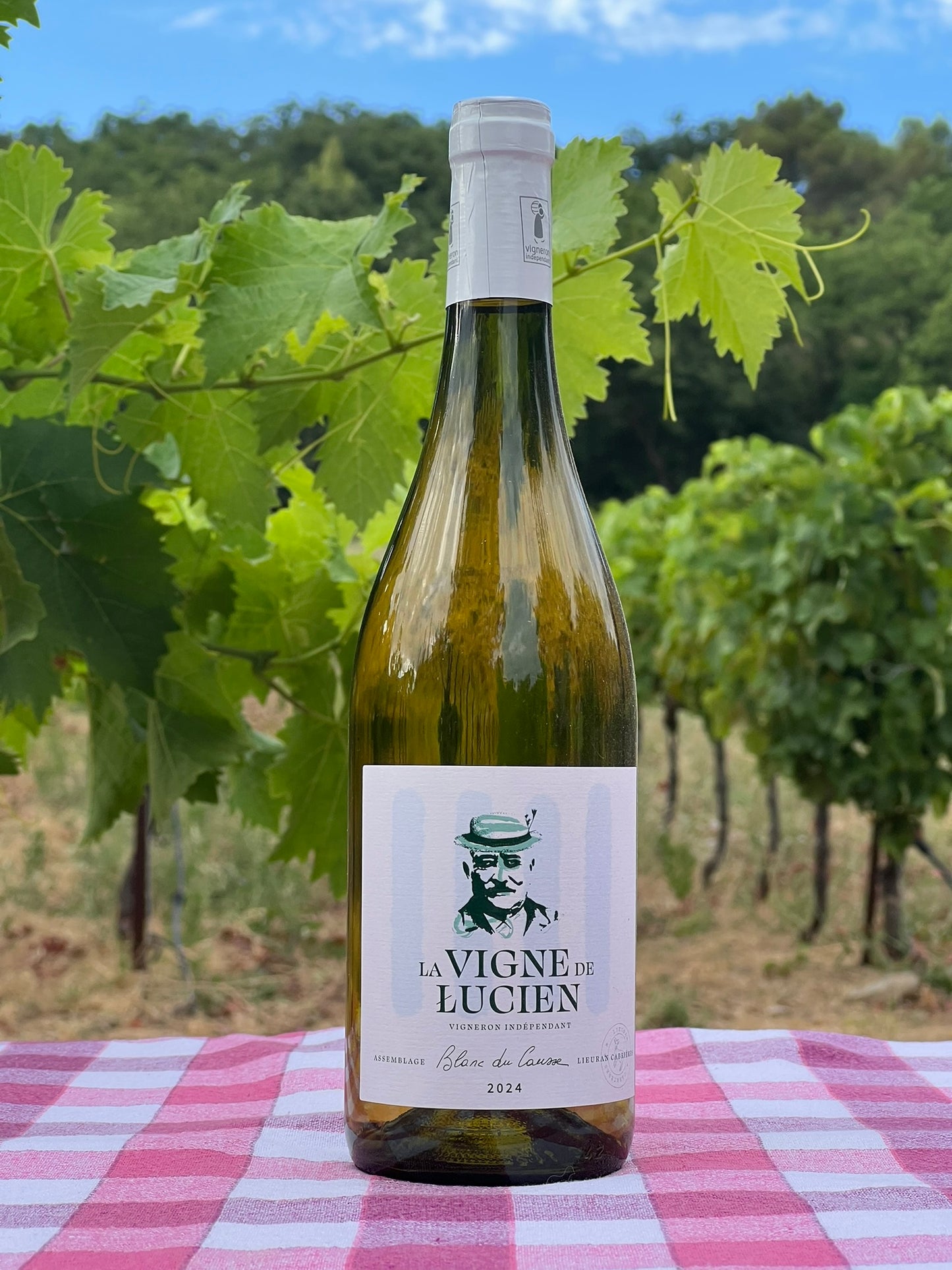 Caisse Blanc du Causse, 2024, IGP Coteaux du Salagou, carton de 6