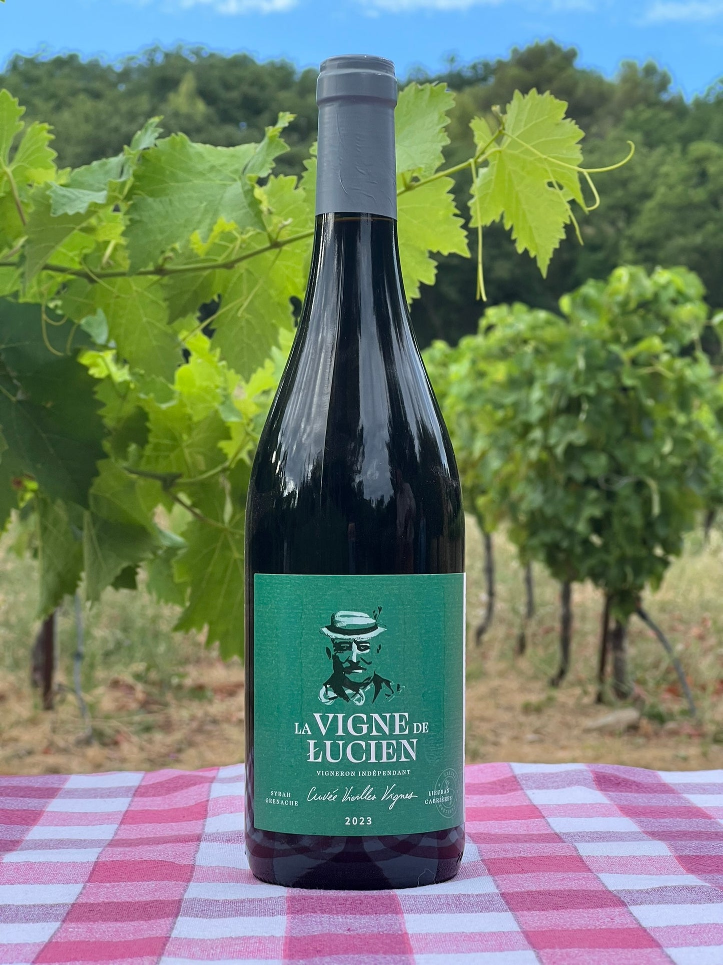 Cuvées Rouge 2022 IGP Pays d'Hérault